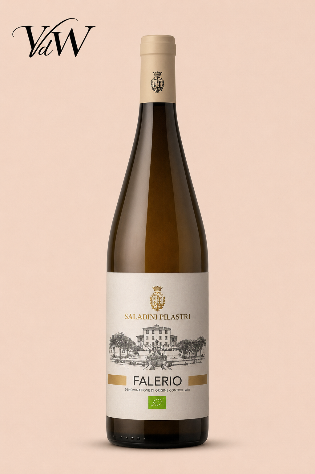 Pecorino Falerio Biologico Saladini Pilastri - VindieWine