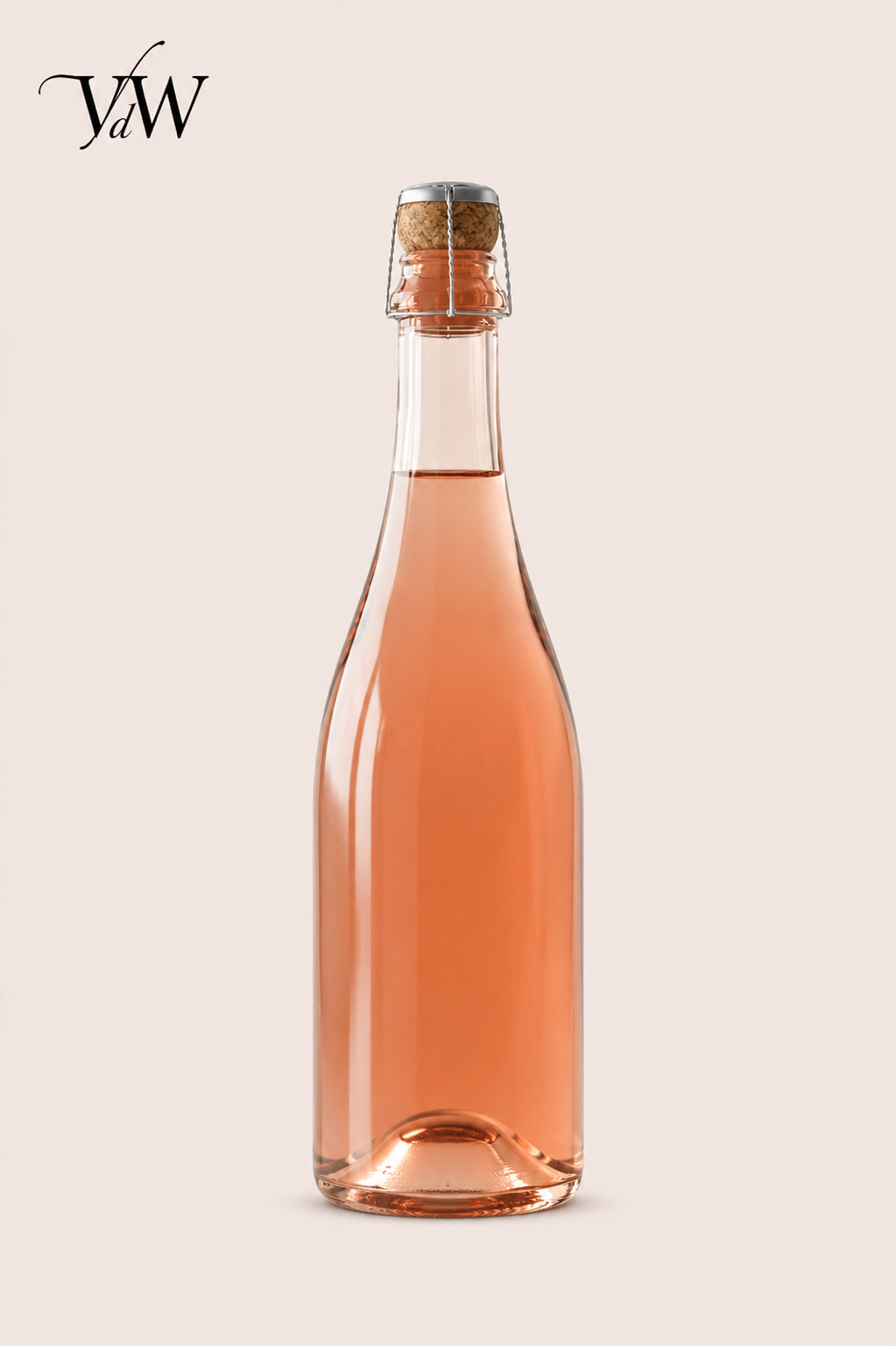 Raboso Spumante Rosé Metodo Classico 36 Mesi - VindieWine